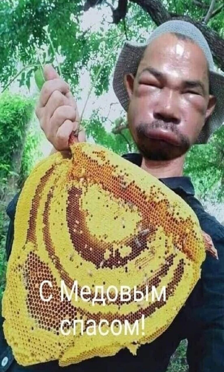 РЖОМ – прикольные мемы, шутки, картинки, стихи. — Фото | OK.RU