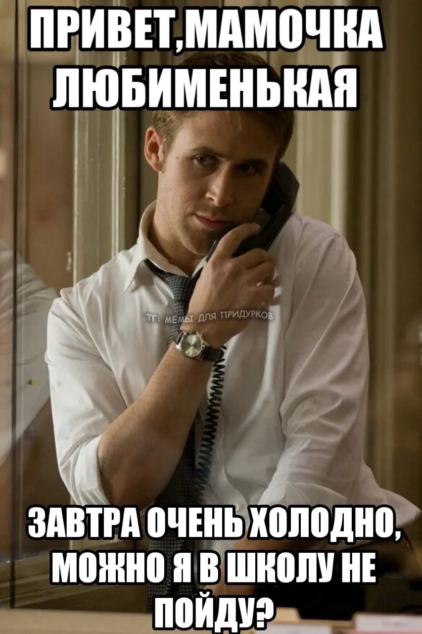 тг: мемы для придурков