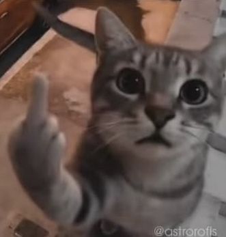 𝘧𝘰𝘭𝘭𝘰𝘸 𝘮𝘦