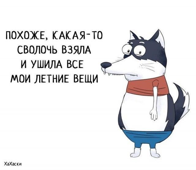 Забавные комиксы из жизни Хаски Карла (24 картинки)
