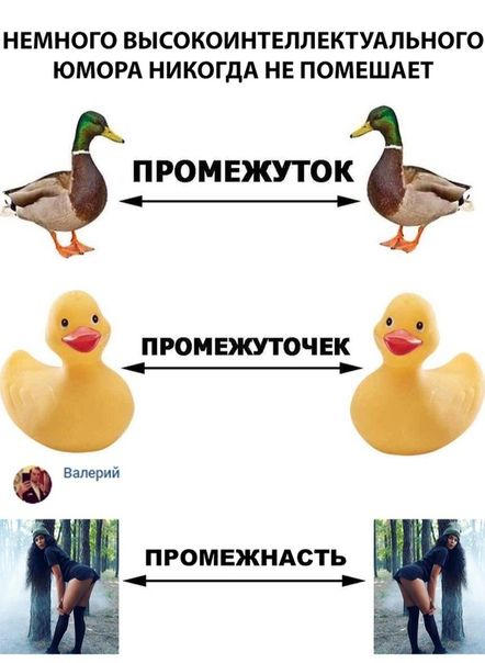 Не очень адекватный юмор – ЯПлакалъ