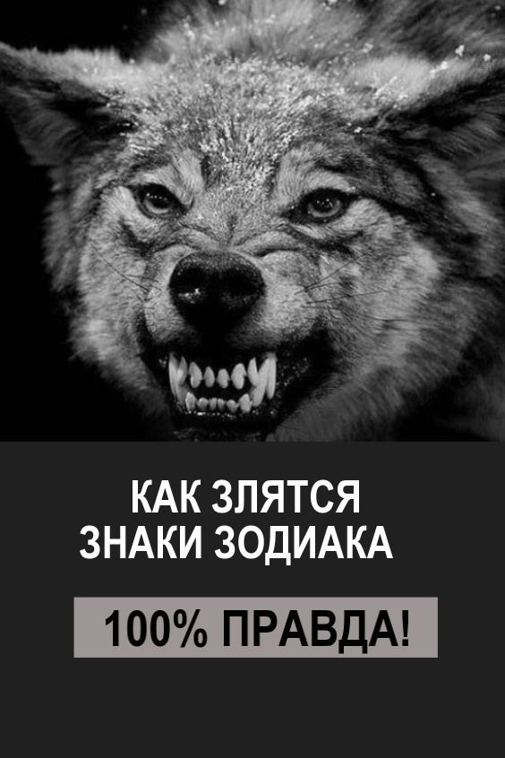 Знаки зодиака и гороскоп