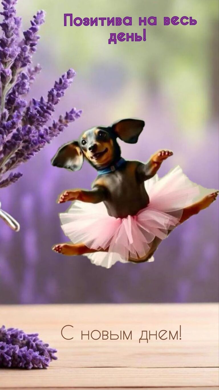 доброе утро