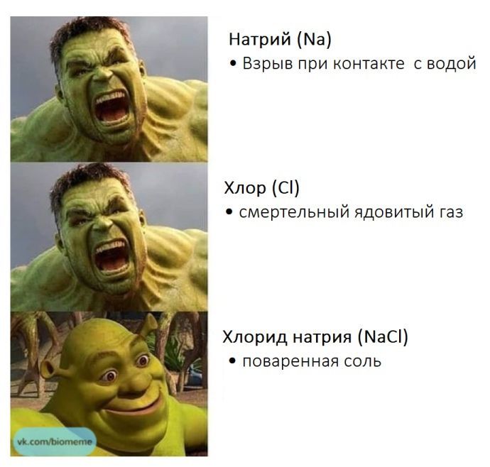 Удивительные и увлекательные мемы, которые поднимут вам настроение!