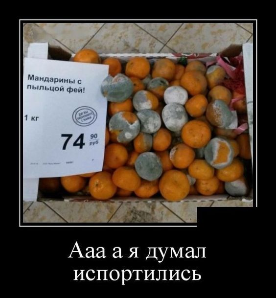 картинки смешные876