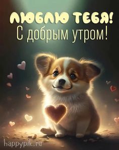 ☀️💋Красивые картинки С добрым утром любимой – скачать