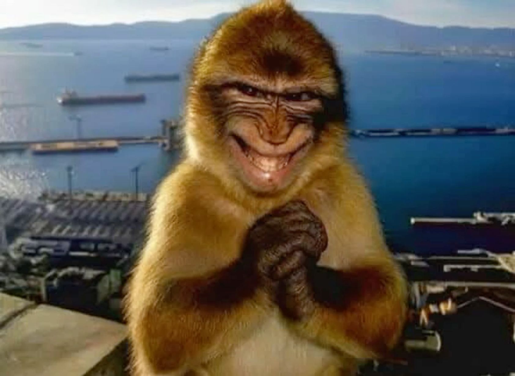 Monkey smile