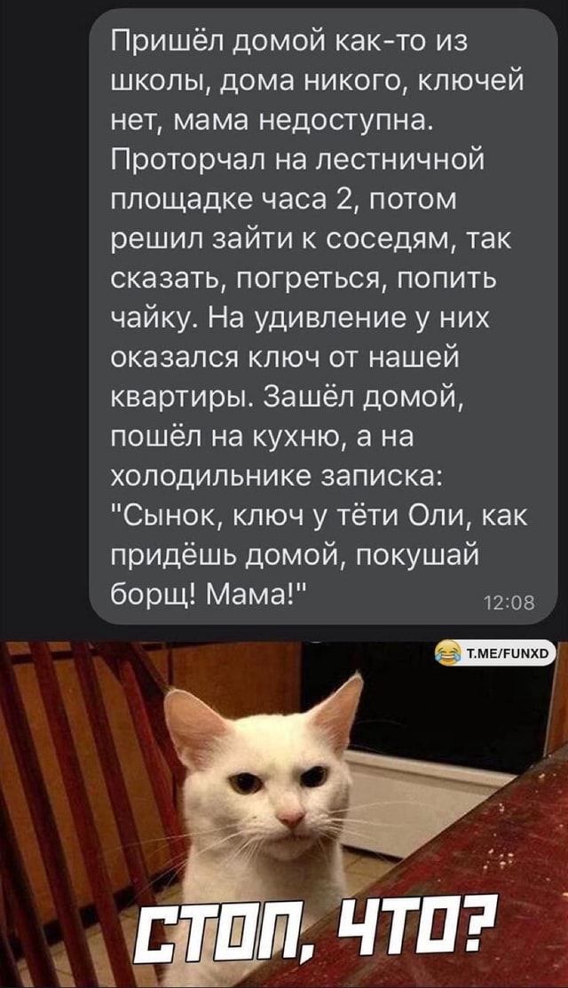 Пришёл домой как-то из школы, дома никого, ключей нет, мама недоступна. Проторчал на лестничной площадке часа 2, потом решил зайти к соседям, так сказать, погреться, попить чайку. На удивление у них оказался ключ от нашей квартиры. Зашёл домой, пошёл на кухню, а на холодильнике записка: “Сынок, ключ у тёти Оли, как придёшь домой, покушай борщ! Мама!” Т.МЕУМХО СТОП, ЧТО? – АйДаПрикол