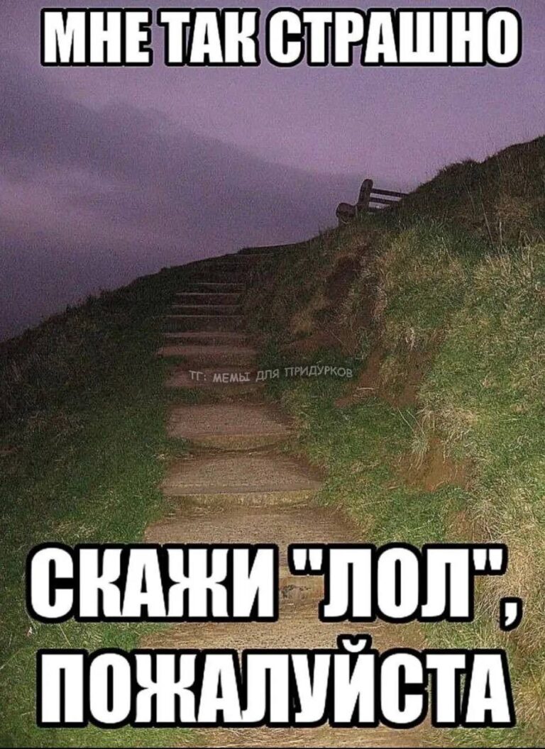 тг: мемы для придурков