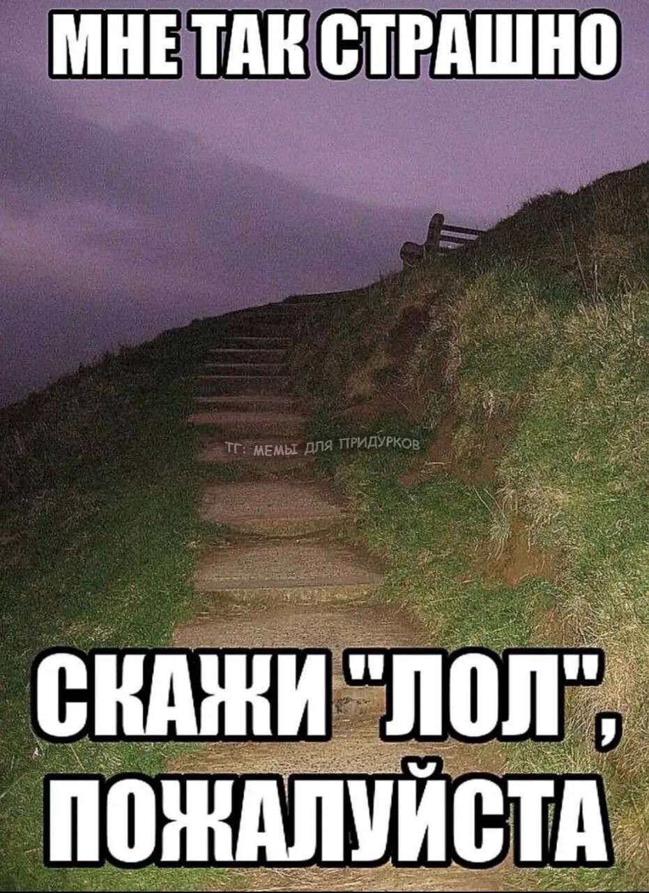 тг: мемы для придурков