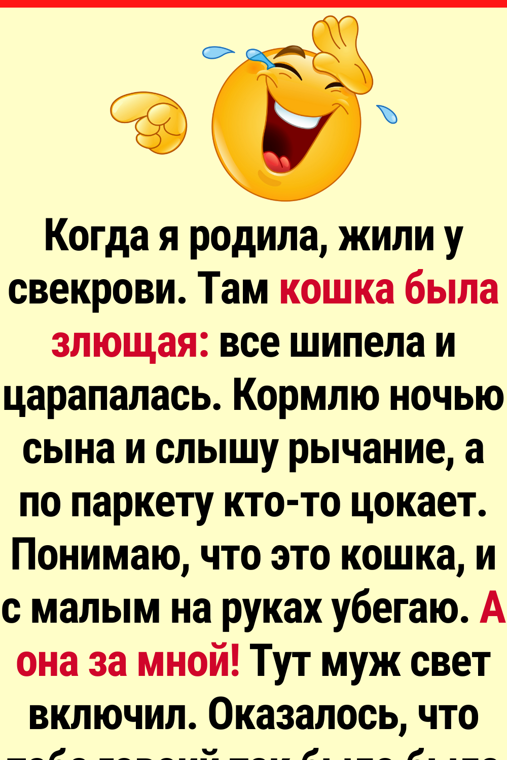 18 историй, в которых домашние питомцы были главными зачинщиками хаоса