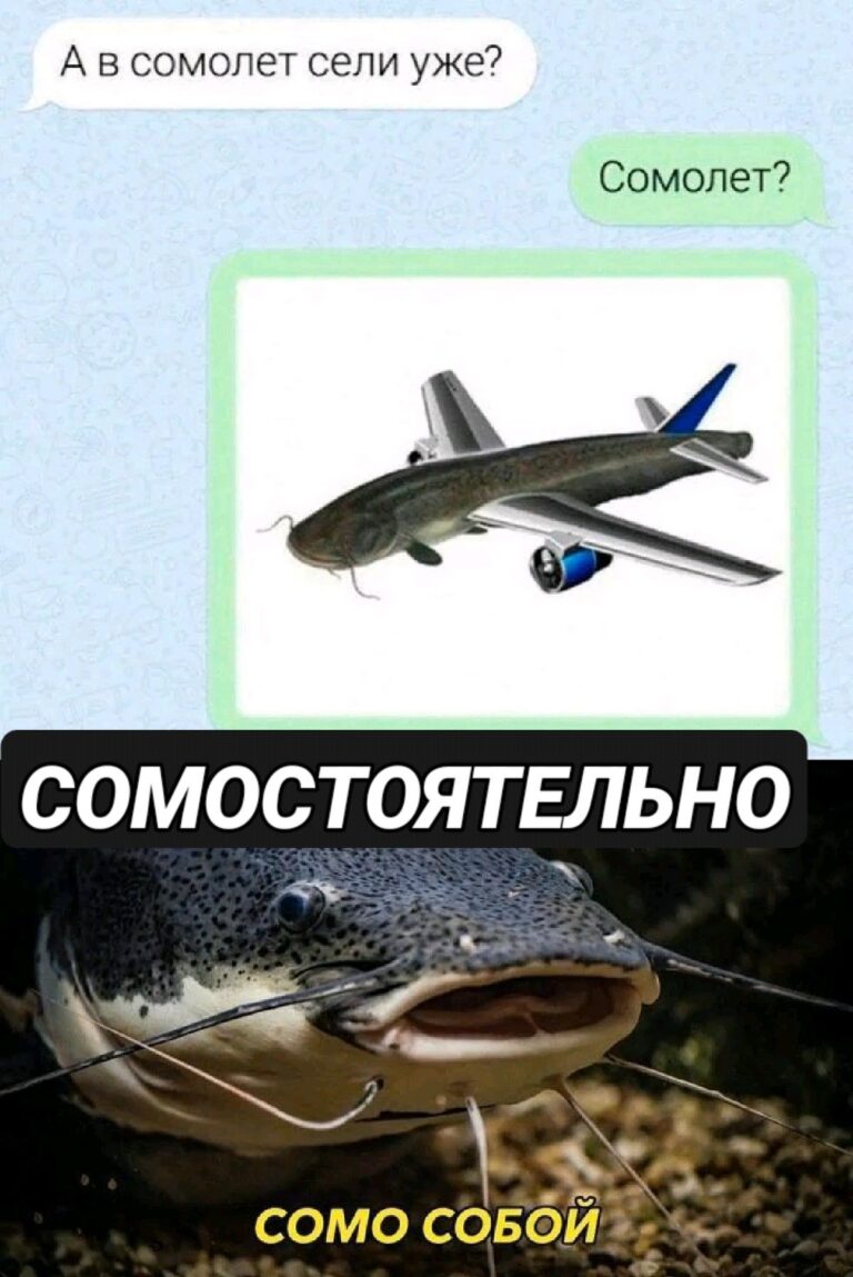 СОМОСТОЯТЕЛЬНО
