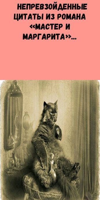 Непревзойденные цитаты из романа «Мастер и Маргарита»