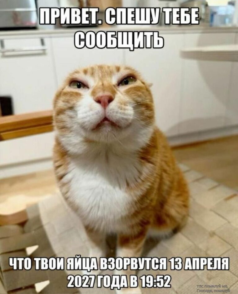 Спешу тебе сообщить….