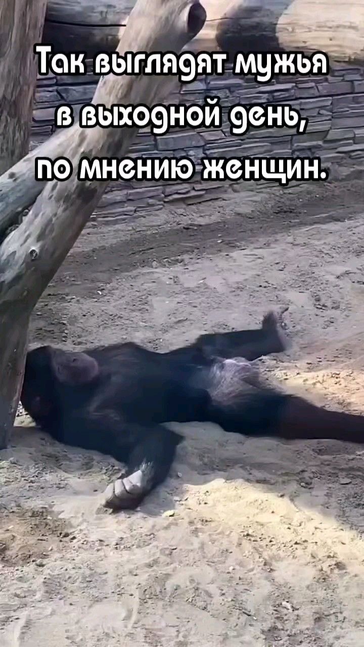 Муж в выходной день😂
