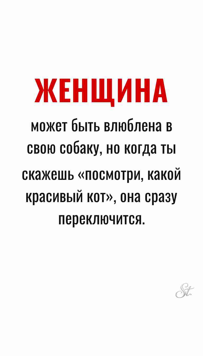 Ироничные мысли о женщинах и женская мудрость