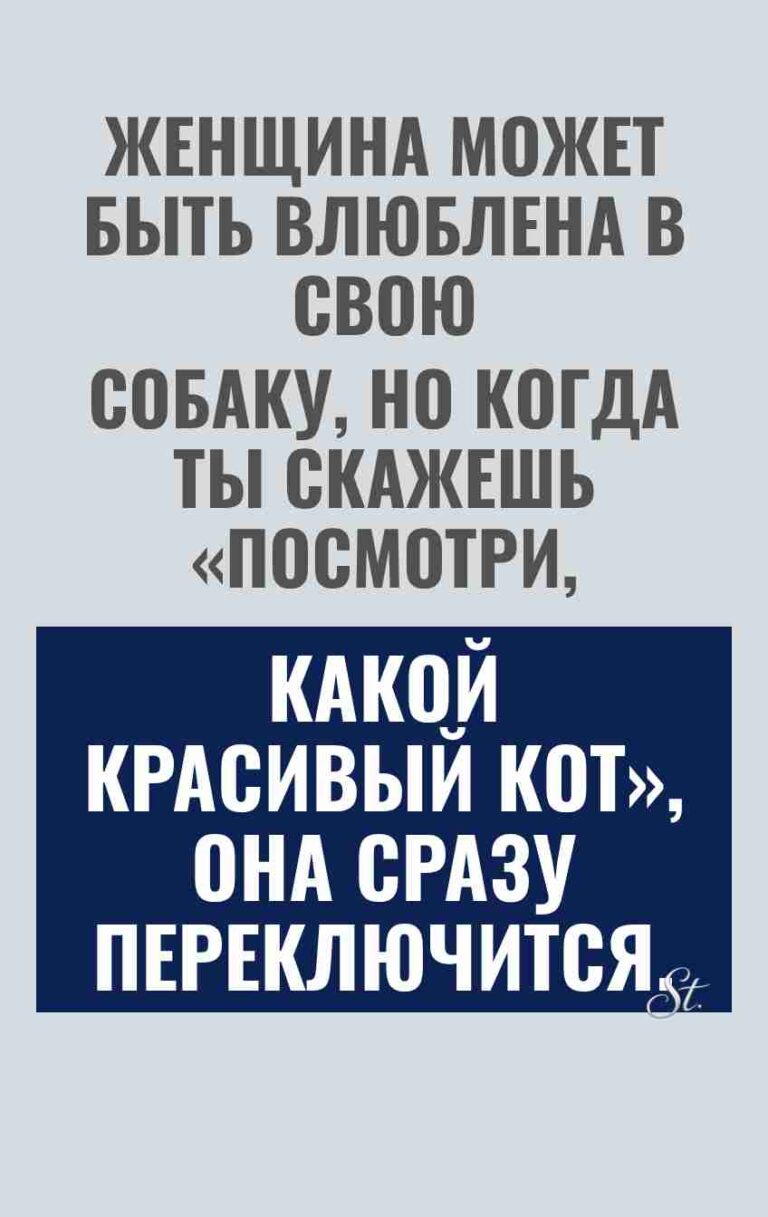Смешные цитаты о любви и сарказме