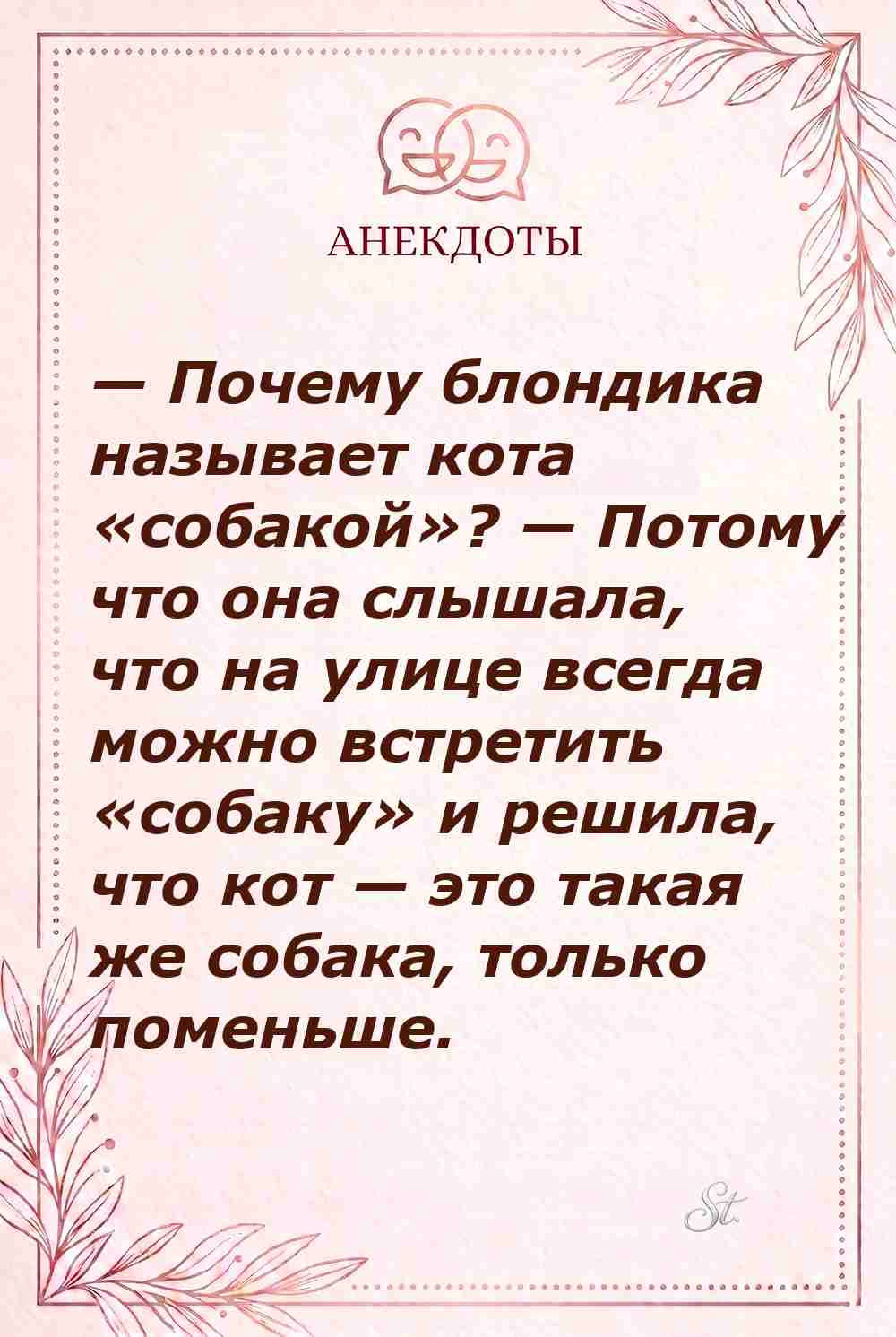 Смешные цитаты о женской логике и отношениях